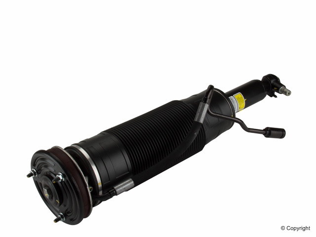 Suspension Strut | ARNOTT SK-2550 — image 5