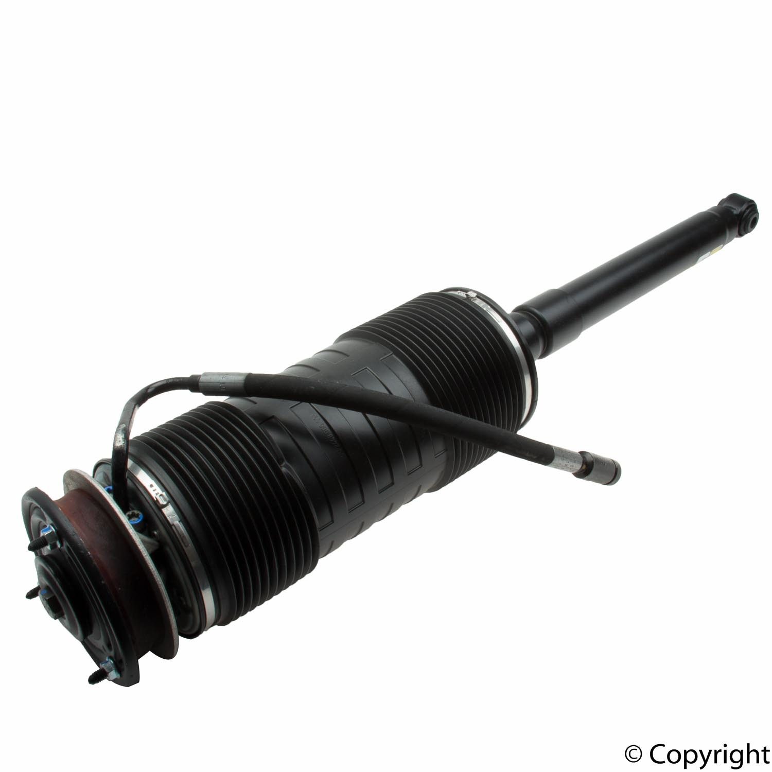Suspension Strut | ARNOTT SK-2551 — image 5