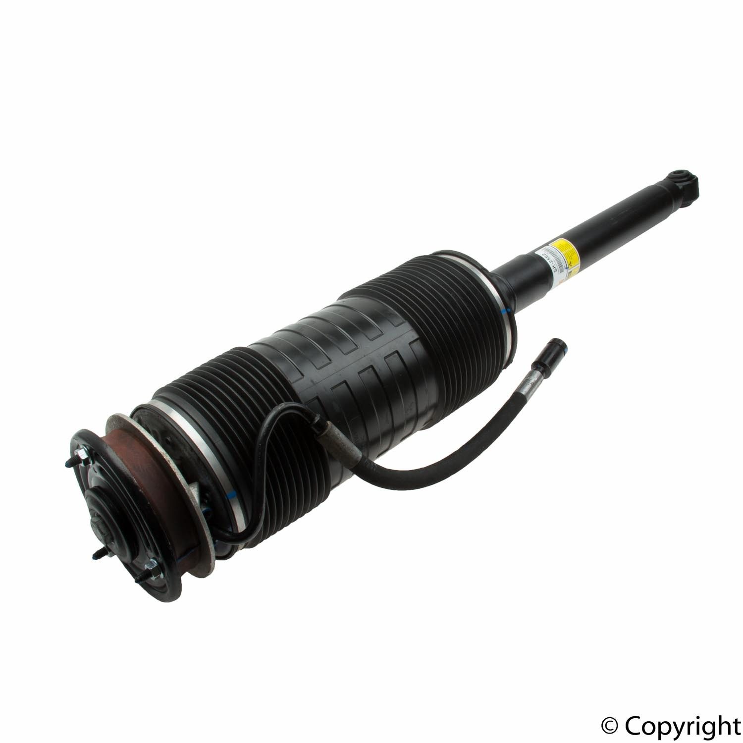 Suspension Strut | ARNOTT SK-2552 — image 5