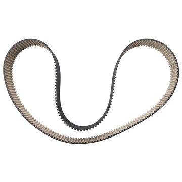 Dayco Engine Timing Belt - 1600DRC8M50 — image 2