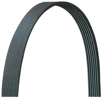 Dayco Serpentine Belt - 5070683DR — image 2