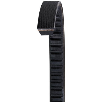 Dayco Accessory Drive Belt - AX42 — image 2