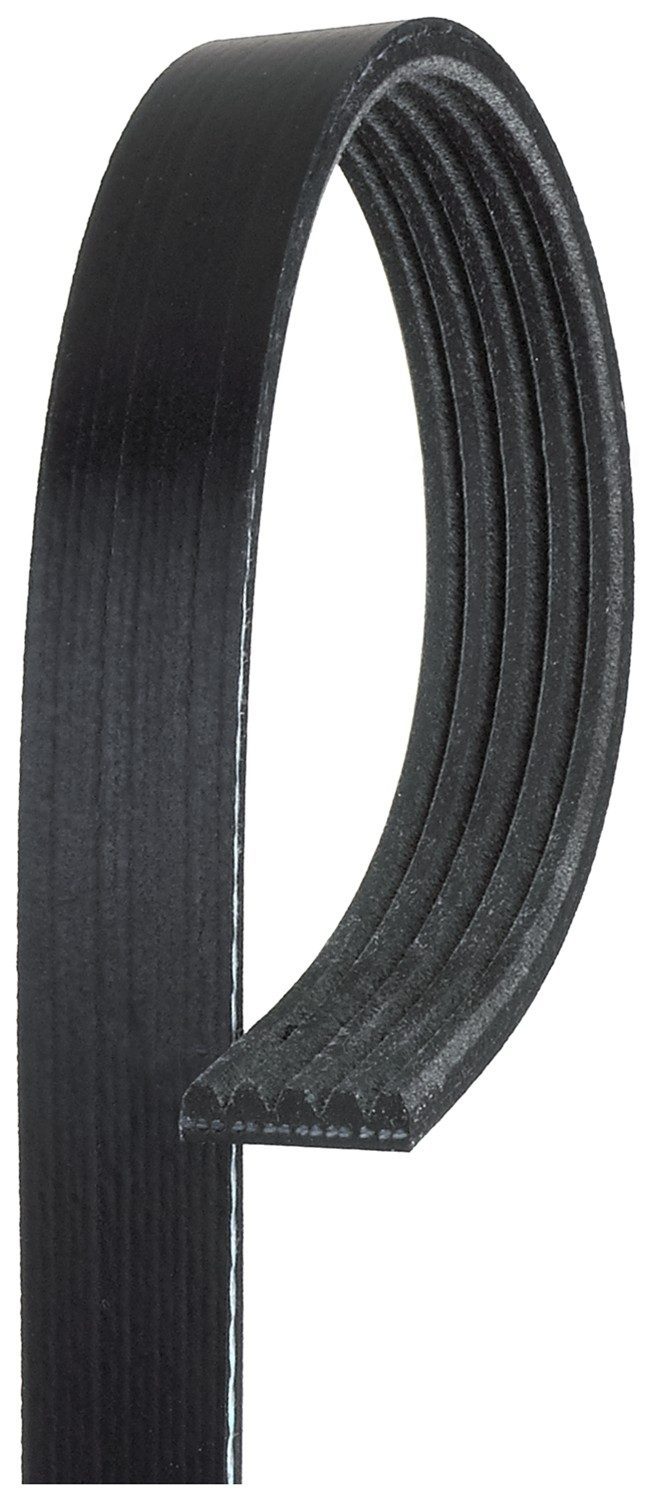 Gates Serpentine Belt - K Cross-Section 75.69" Length — image 3