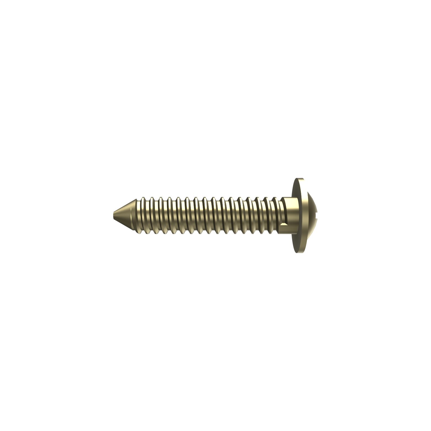 SCREW - SCREW - SCREW - SCREW