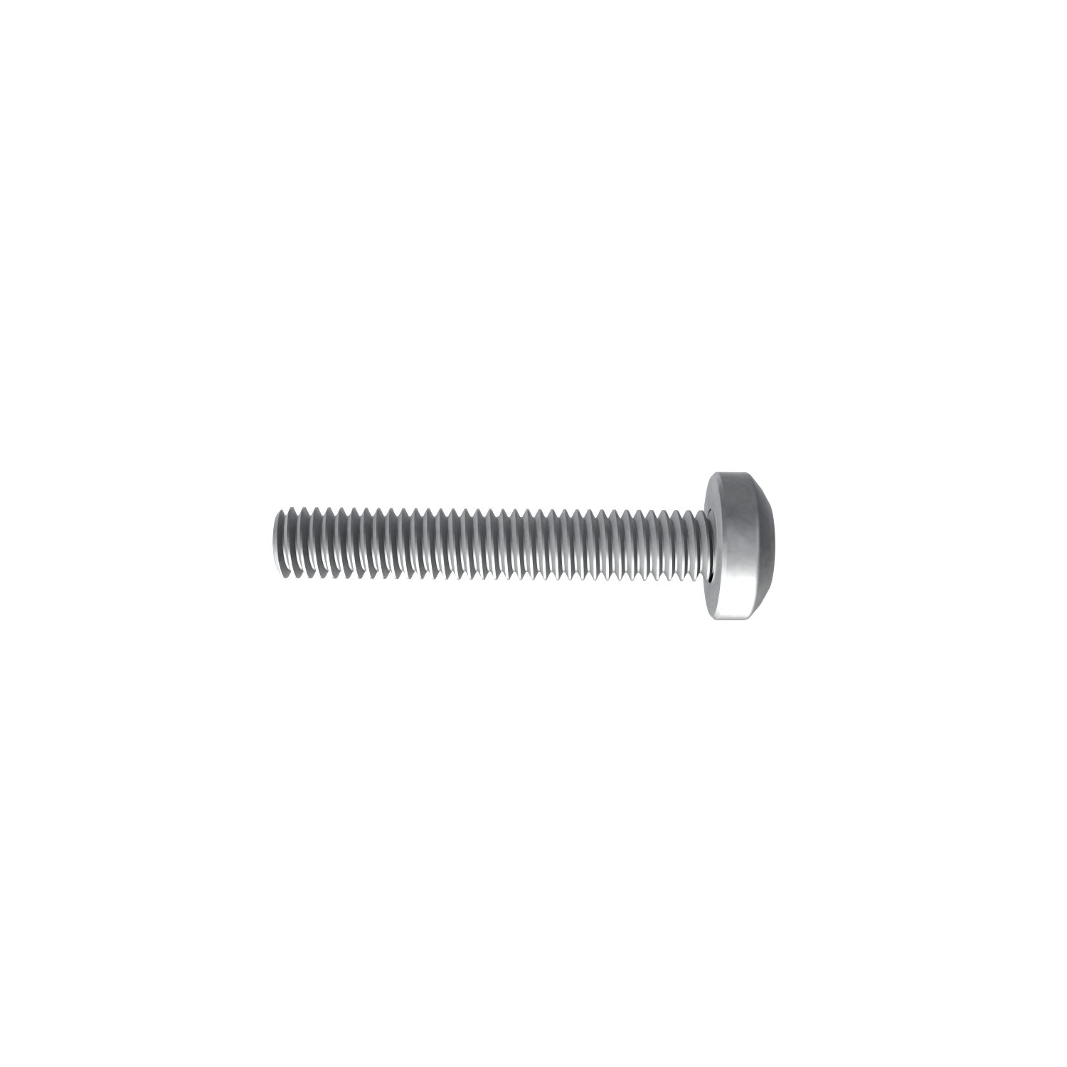 SCREW - SCREW