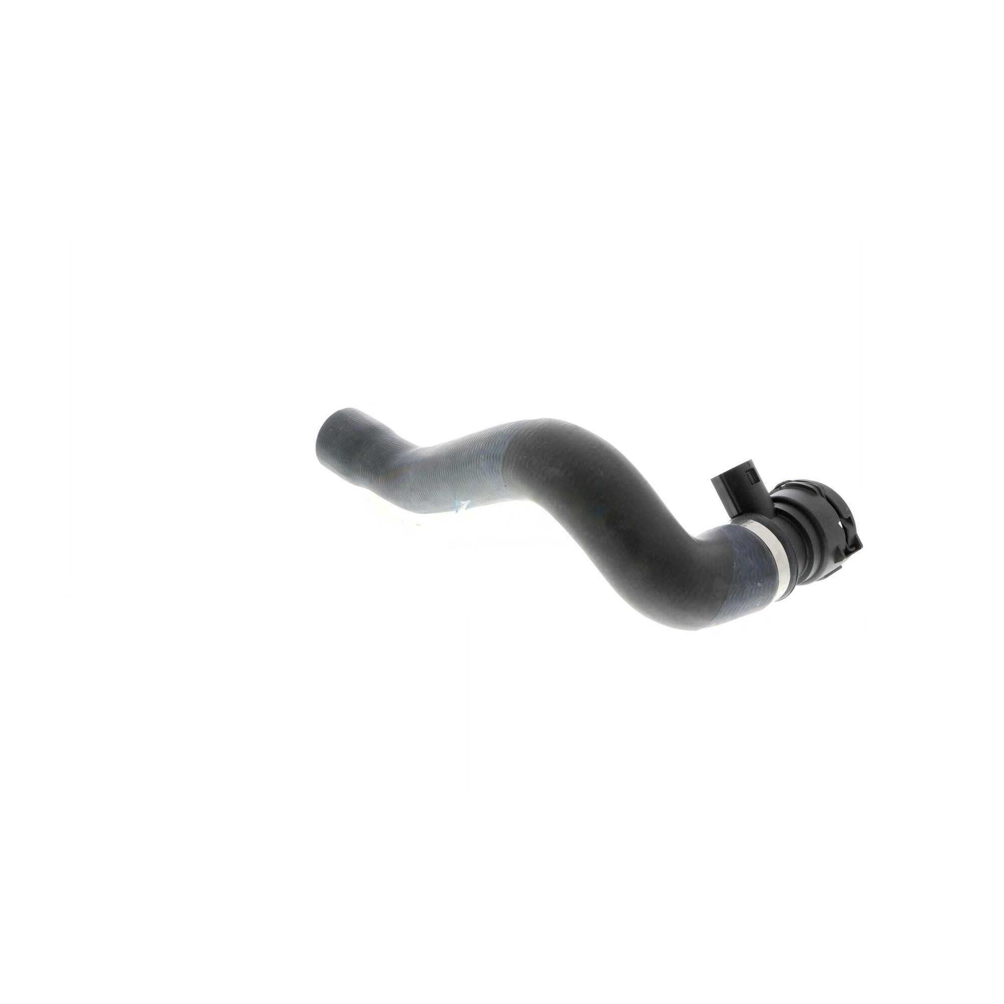 VAICO Lower Radiator Coolant Hose V20-1924 — image 6