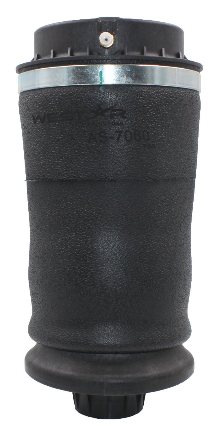 Rear Air Suspension Spring | Westar AS-7060 Fits Mercedes-Benz — image 2
