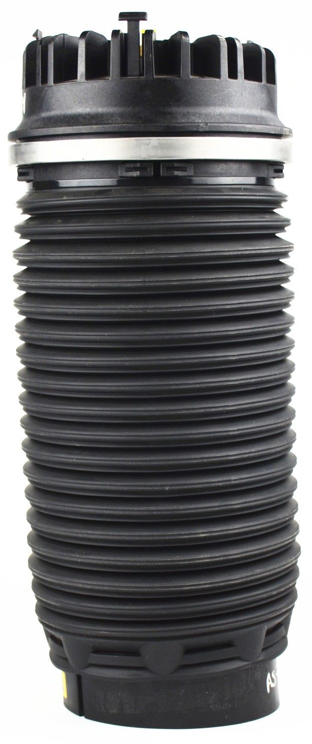 Rear Air Suspension Spring | Westar AS-7063 Fits Ram 1500 2013-2018 — image 2