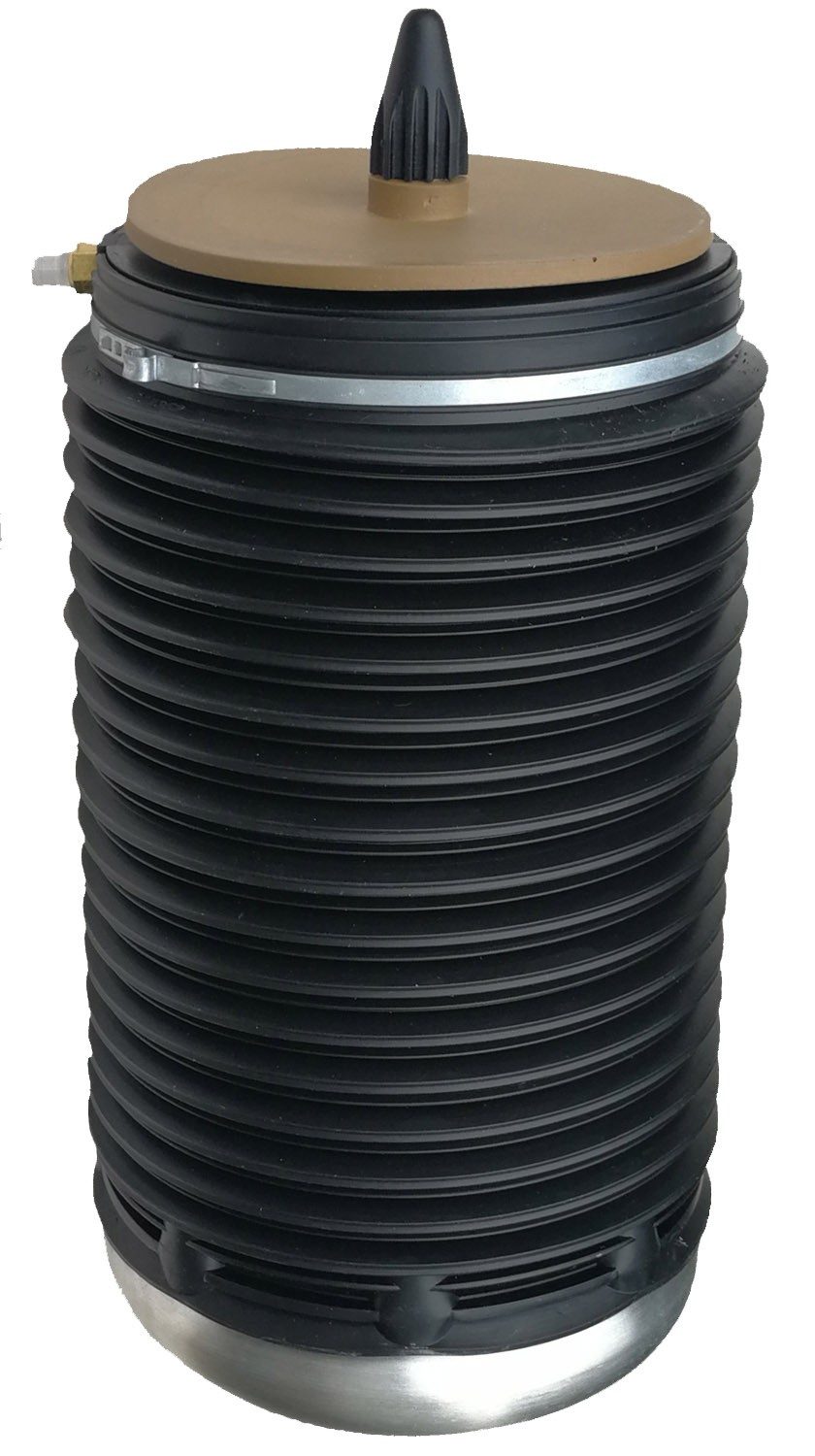 Rear Left Air Suspension Spring | Westar AS-7084 Fits Audi A7 Quattro 2012-2018 — image 2