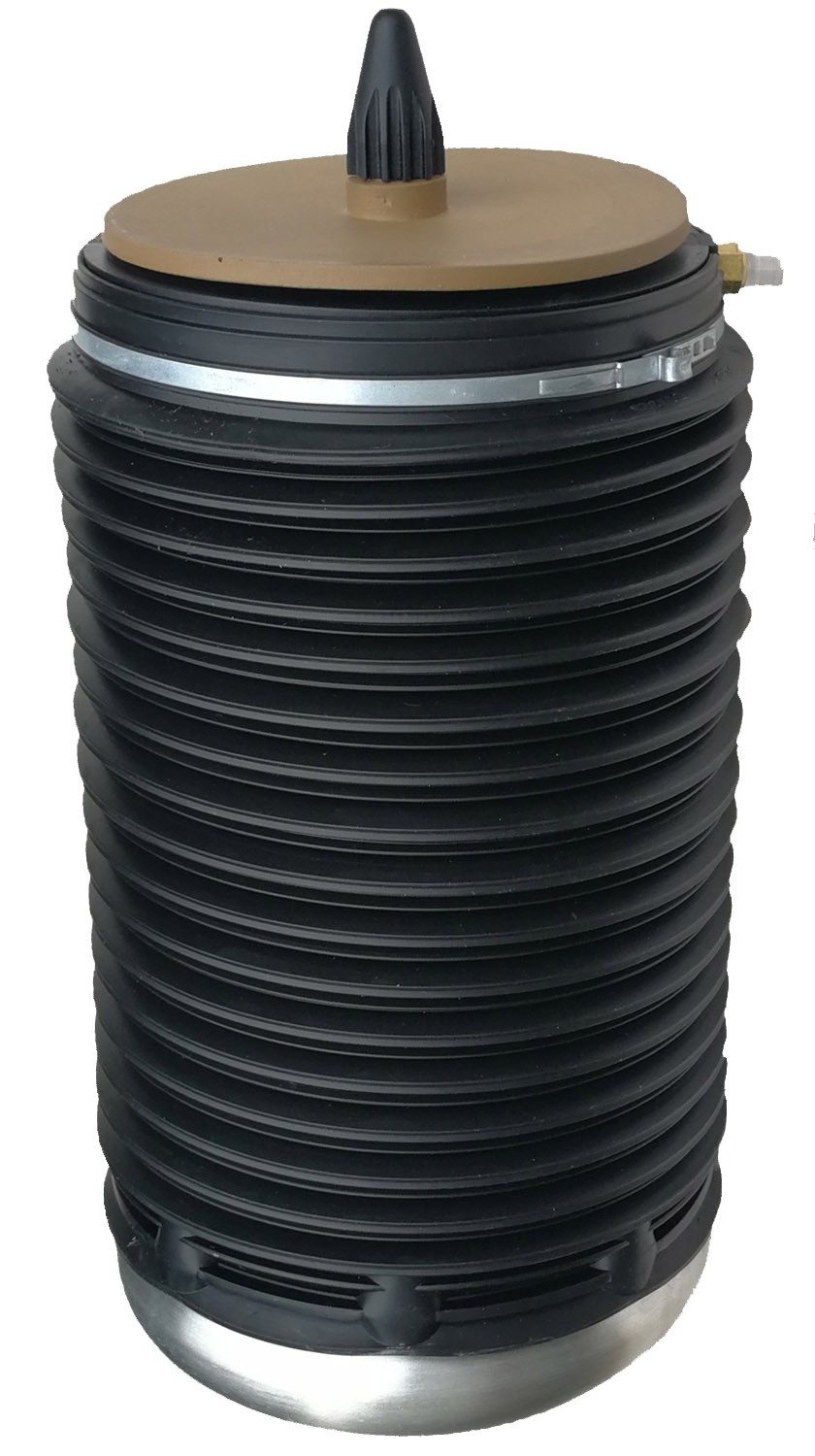Rear Right Air Suspension Spring | Westar AS-7085 Fits Audi A7 Quattro 2012-2018 — image 2