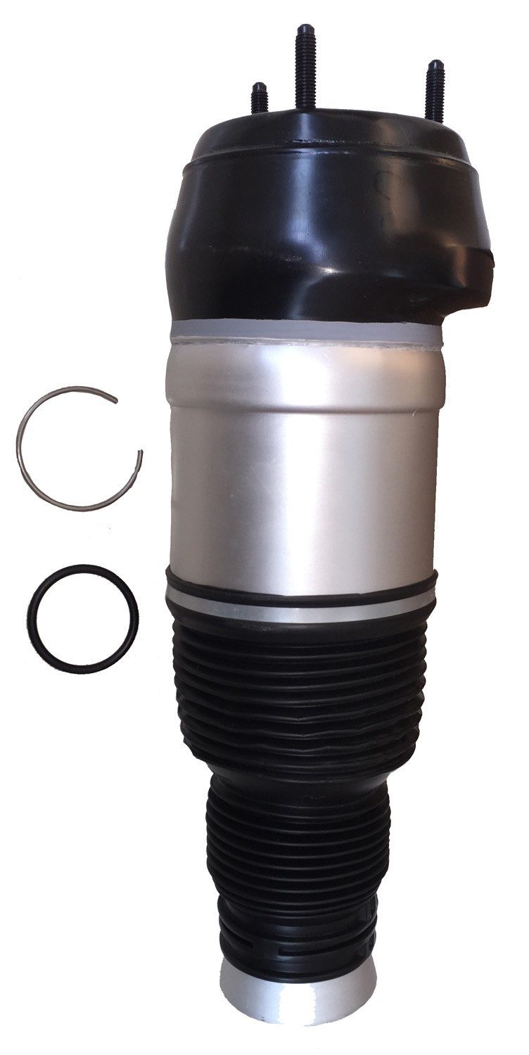Front Right Air Suspension Spring | Westar AS-7080 Fits Mercedes-Benz — image 2