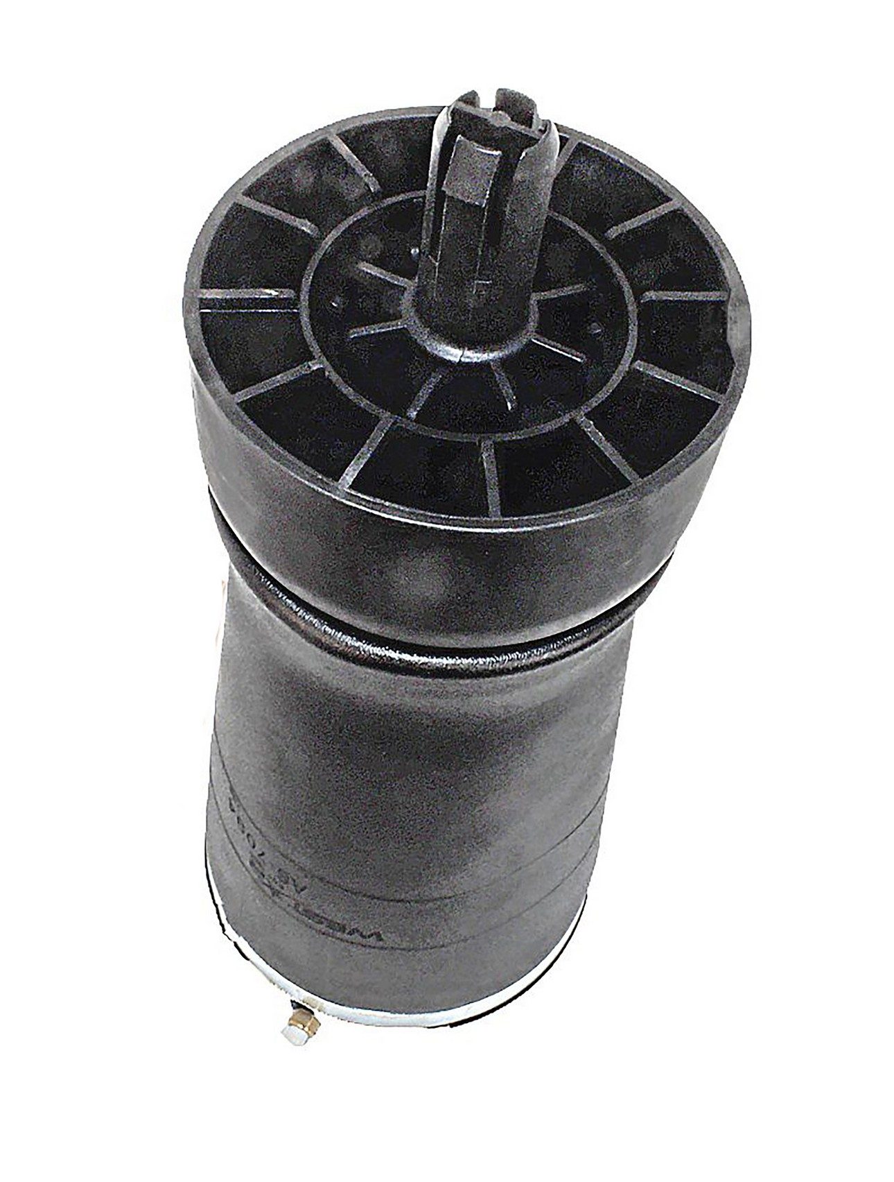 Rear Air Suspension Spring | Westar AS-7094 Fits Land Rover Range Rover 2013-2021 — image 2