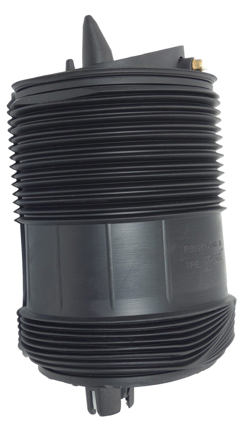 Rear Right Air Suspension Spring | Westar AS-7087 Fits Audi Q7 2016-2017 — image 2