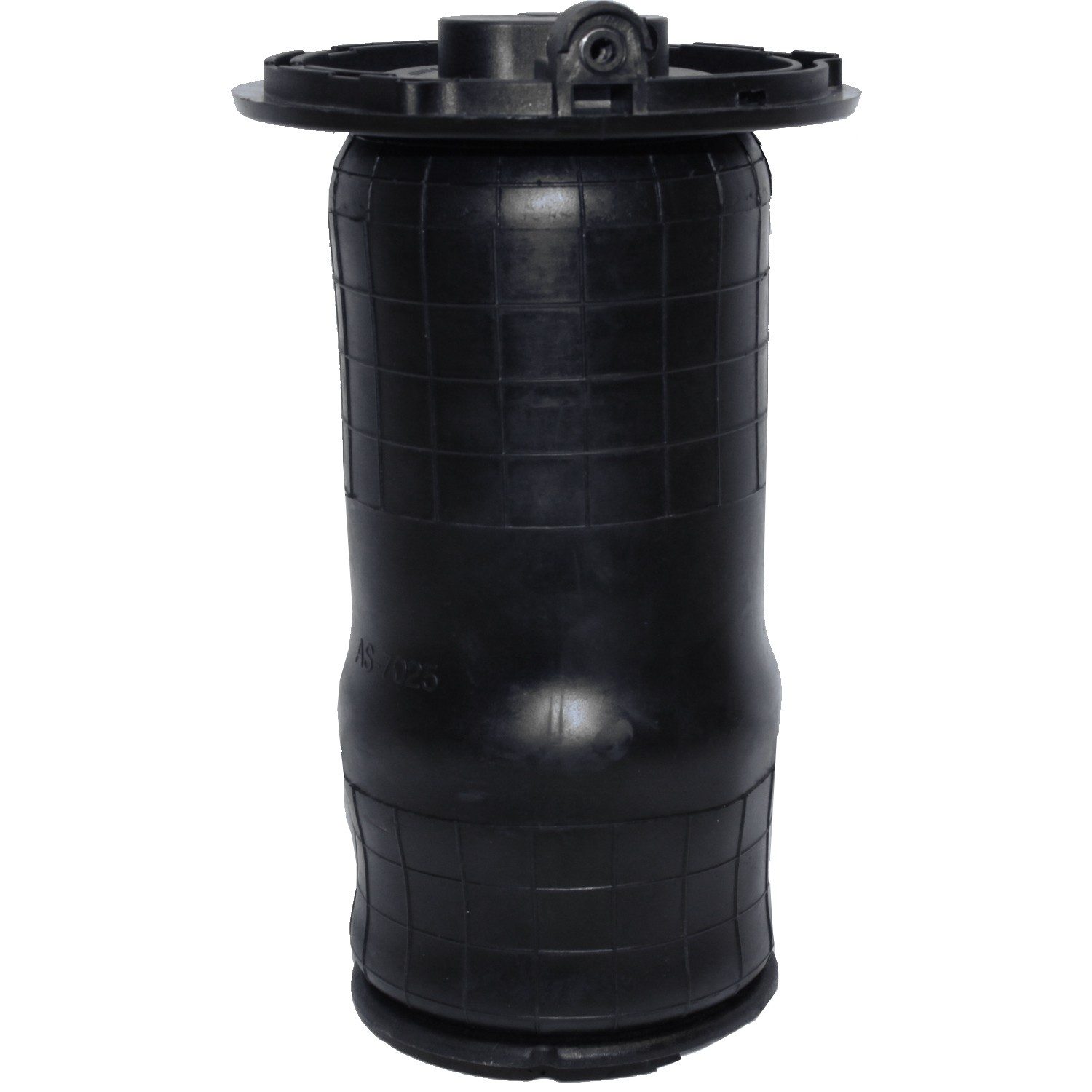Rear Air Suspension Spring | Westar AS-7025 Fits Land Rover Range Rover 1993-2002