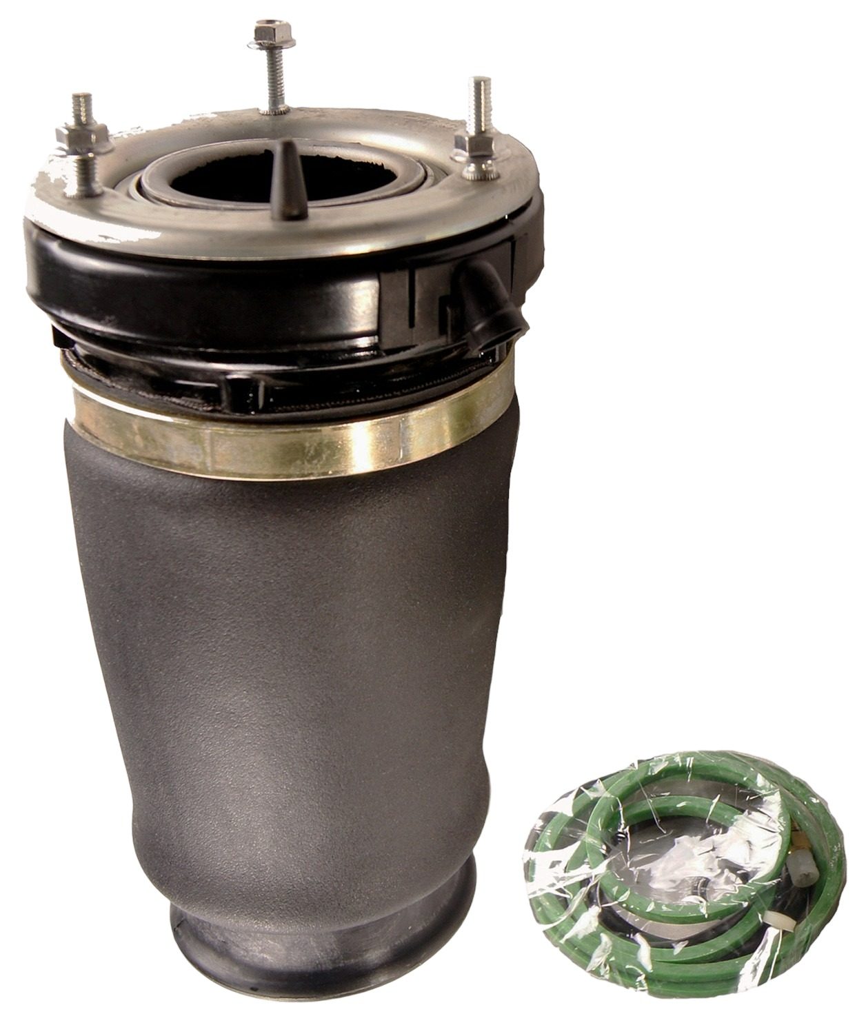 Front Right Air Suspension Spring | Westar AS-7029 Fits BMW X5 2000-2006
