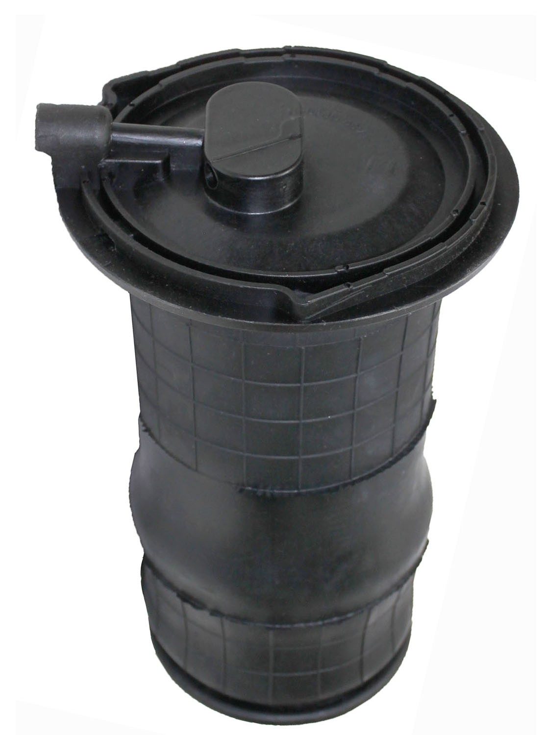 Rear Air Suspension Spring | Westar AS-7033 Fits Land Rover Range Rover 1995-2002 — image 2