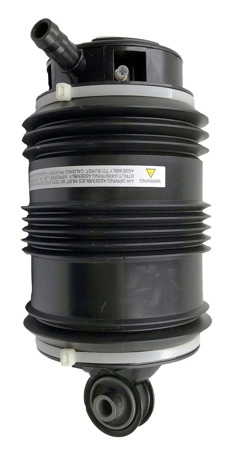 Rear Left Air Suspension Spring | Westar AS-7034 Fits Mercedes-Benz — image 2
