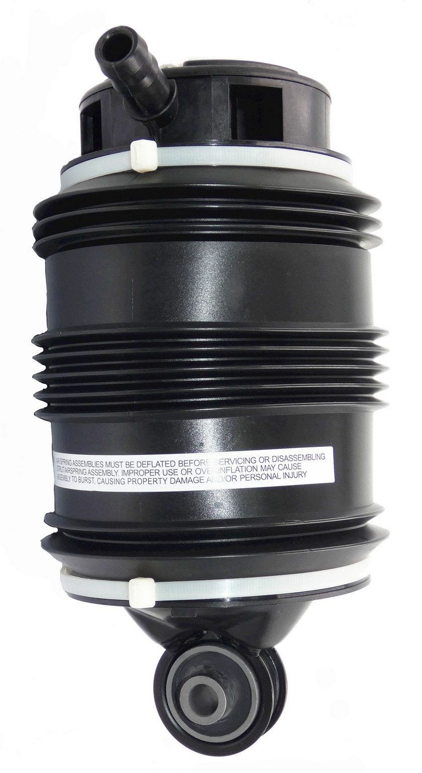 Rear Right Air Suspension Spring | Westar AS-7035 Fits Mercedes-Benz