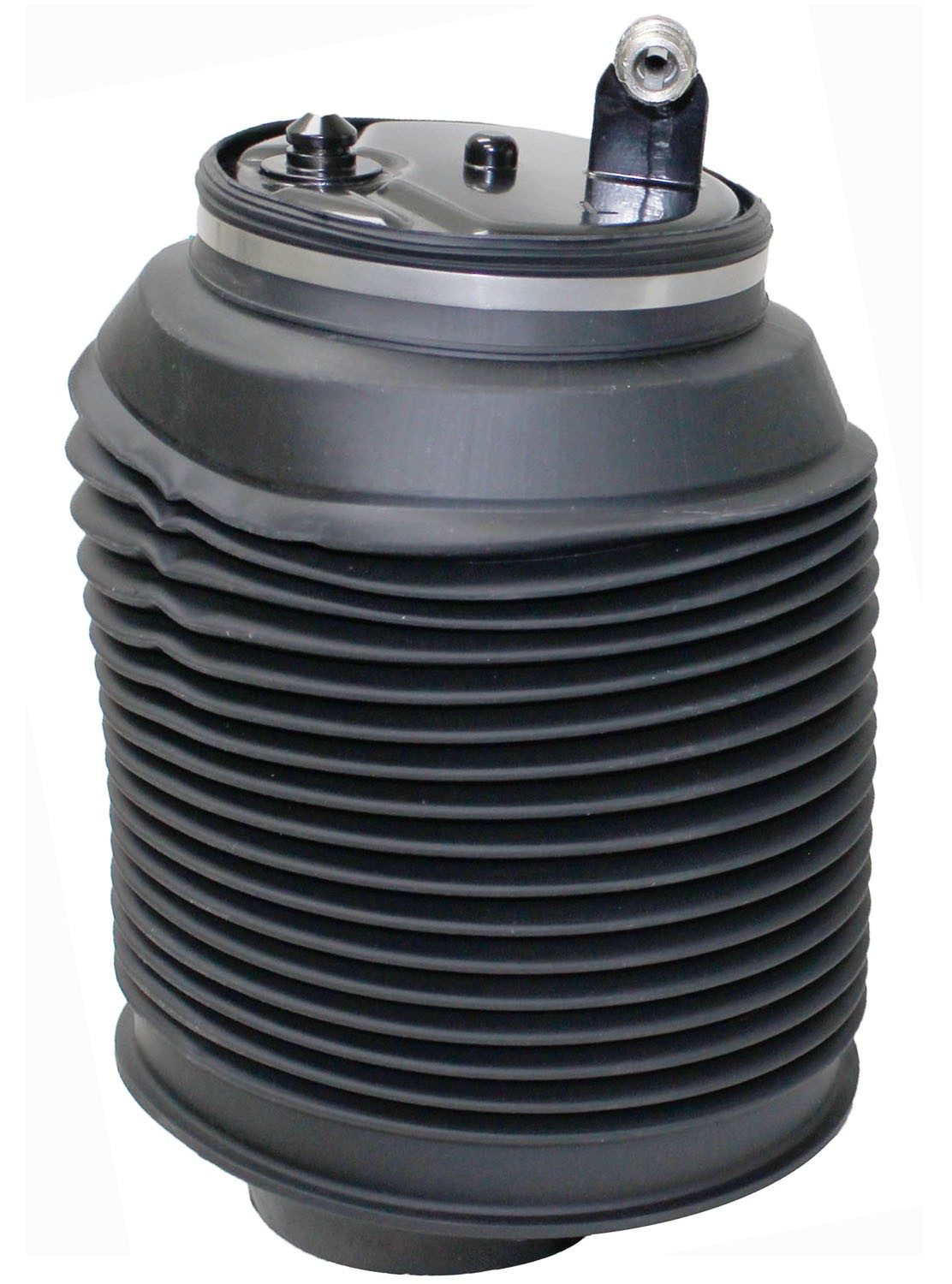 Rear Left Air Suspension Spring | Westar AS-7037 Fits Toyota Lexus