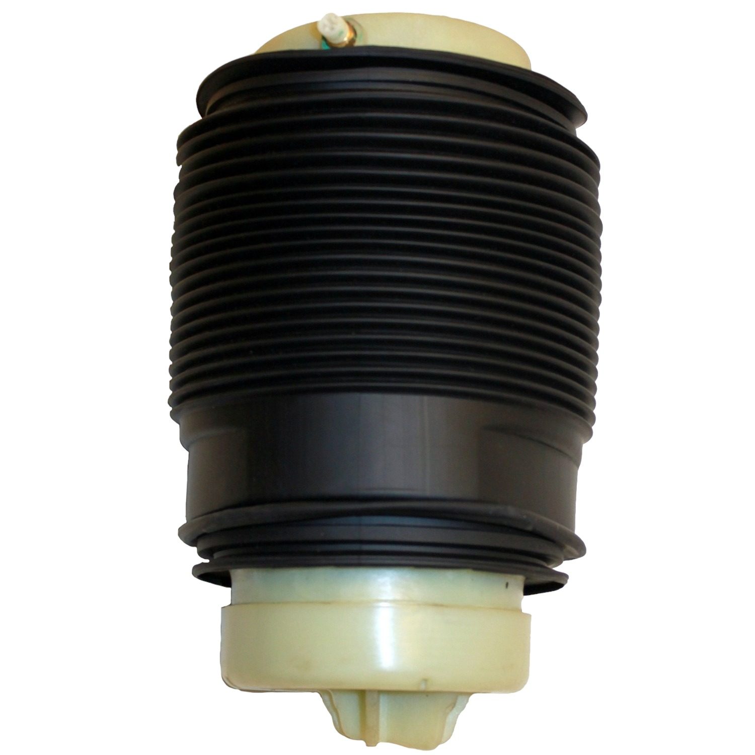 Rear Right Air Suspension Spring | Westar AS-7041 Fits Mercedes-Benz