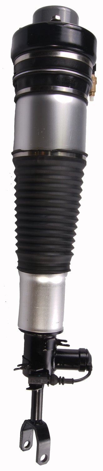 Front Left Air Suspension Strut | Westar AS-7364 Fits Audi — image 2